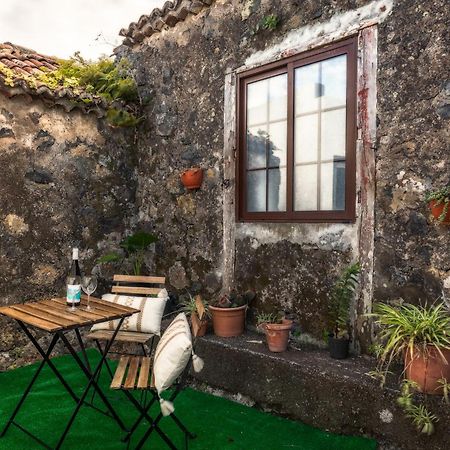 Апартаменты Casita Juan Carro Un Oasis De Paz Пунтальяна Экстерьер фото